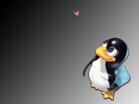 /album/windows-wallpapers/a1-3-716106-jpeg/
